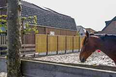 Robert Koelewijn Fotografie 250425 HR (1).jpg